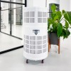 Excentr Air 250